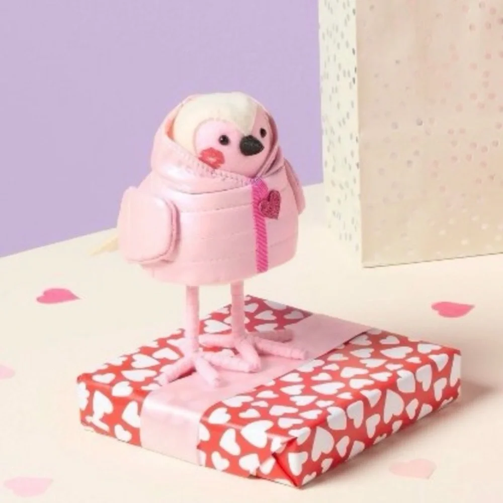 Target Spritz Smoocher Valentine’s Day 2026 Featherly Friends Bird Pink New